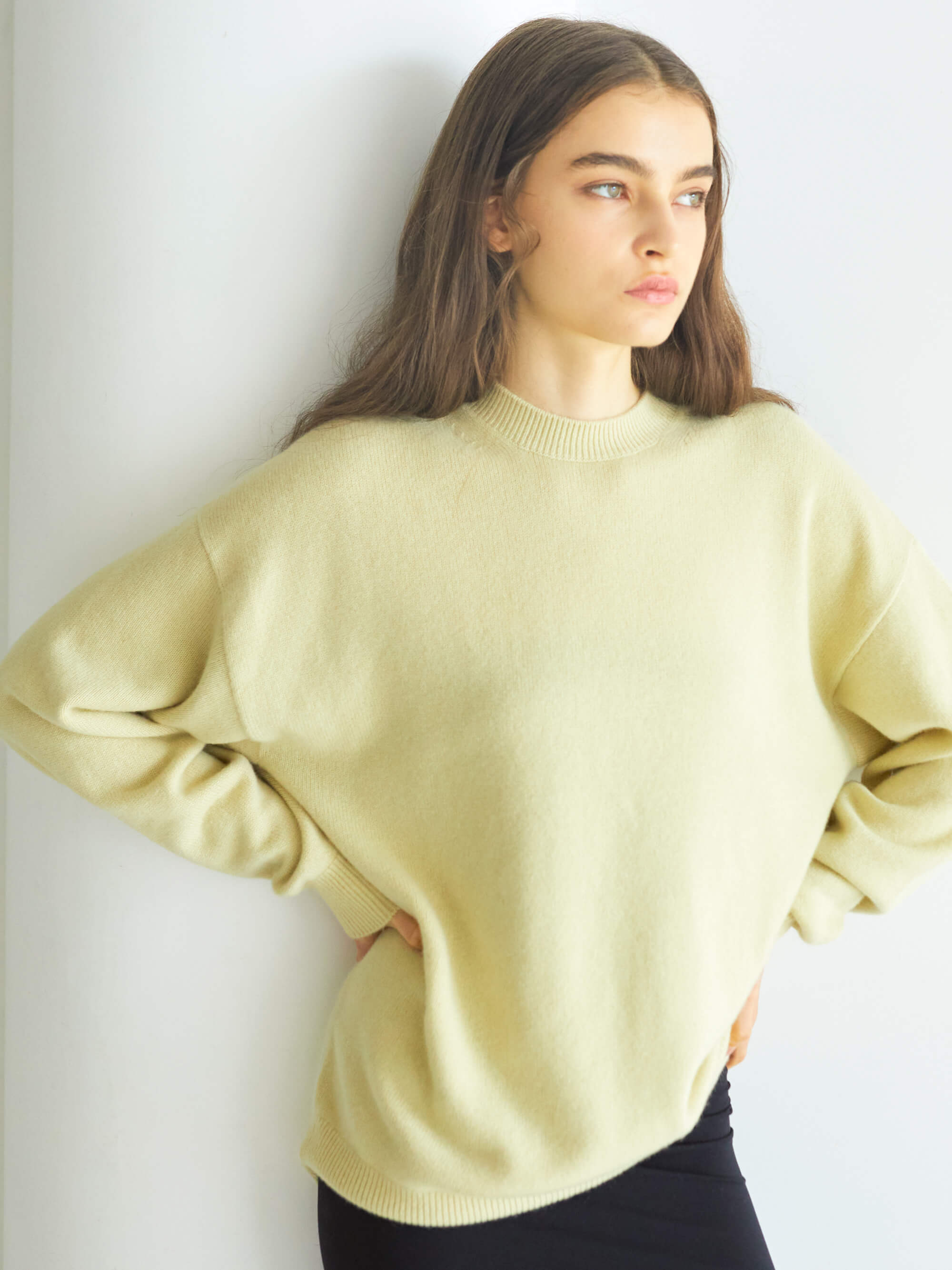カシミヤスニット ライトイエロー Cashmere knit Light yellow | エドワードブラウン  EDWARD BROWN
